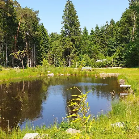 Duplex Nature Avec Piscine, Parc Et Wi-fi - Fr-1-589-771 * Saint-Remy (Vosges)