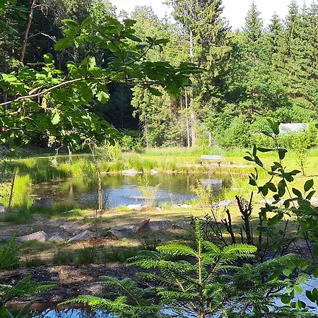 Apartamento Duplex Nature Avec Piscine, Parc Et Wi-fi - Fr-1-589-771 Saint-Remy (Vosges)